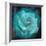 Composing of a White Rose Layered with Emerald and Blossoms-Alaya Gadeh-Framed Photographic Print