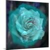 Composing of a White Rose Layered with Emerald and Blossoms-Alaya Gadeh-Mounted Photographic Print