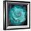 Composing of a White Rose Layered with Emerald and Blossoms-Alaya Gadeh-Framed Photographic Print