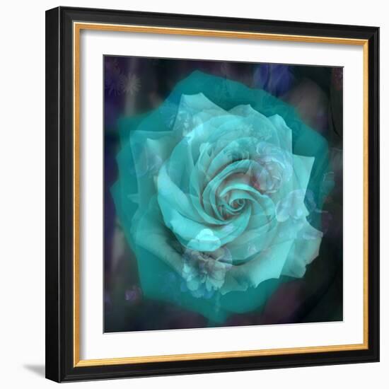 Composing of a White Rose Layered with Emerald and Blossoms-Alaya Gadeh-Framed Photographic Print