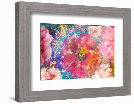 Composing of Blossoms and Branches in the Water-Alaya Gadeh-Framed Photographic Print