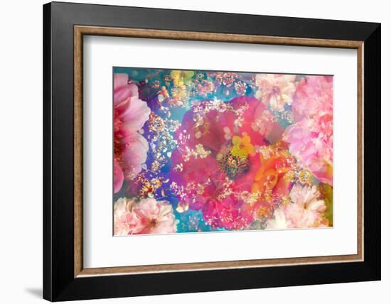 Composing of Blossoms and Branches in the Water-Alaya Gadeh-Framed Photographic Print