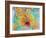 Composing of Blossoms and Slices of Orange, Abstract-Alaya Gadeh-Framed Photographic Print