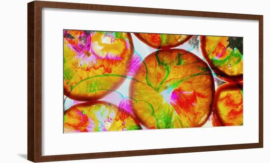 Composing of Blossoms and Slices of Orange-Alaya Gadeh-Framed Photographic Print