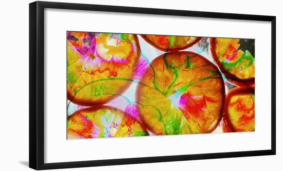 Composing of Blossoms and Slices of Orange-Alaya Gadeh-Framed Photographic Print