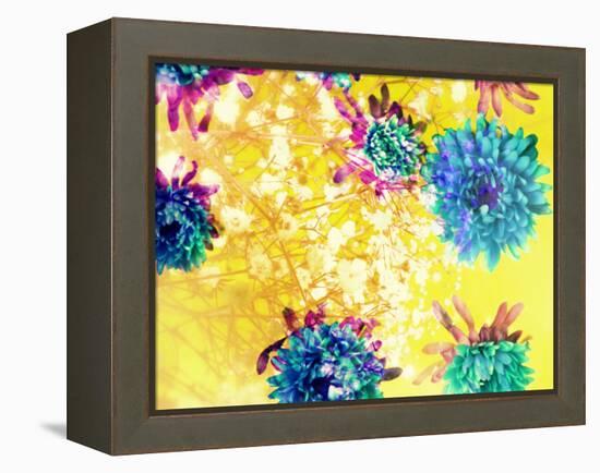 Composing of Blue and Green Blossoms in Yellow Water, Violet Petals, White Flowering Branch-Alaya Gadeh-Framed Premier Image Canvas
