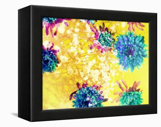 Composing of Blue and Green Blossoms in Yellow Water, Violet Petals, White Flowering Branch-Alaya Gadeh-Framed Premier Image Canvas