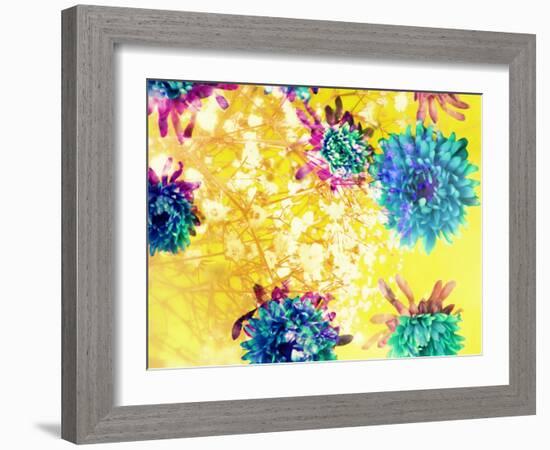 Composing of Blue and Green Blossoms in Yellow Water, Violet Petals, White Flowering Branch-Alaya Gadeh-Framed Photographic Print