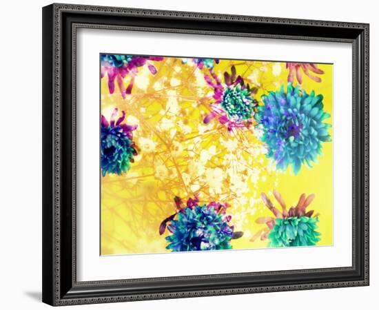 Composing of Blue and Green Blossoms in Yellow Water, Violet Petals, White Flowering Branch-Alaya Gadeh-Framed Photographic Print