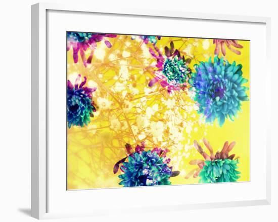 Composing of Blue and Green Blossoms in Yellow Water, Violet Petals, White Flowering Branch-Alaya Gadeh-Framed Photographic Print