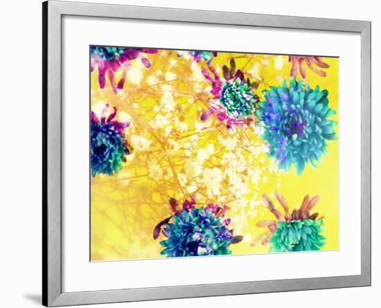 Composing of Blue and Green Blossoms in Yellow Water, Violet Petals, White Flowering Branch-Alaya Gadeh-Framed Photographic Print