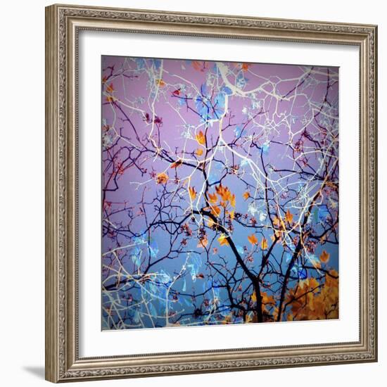 Composing of Coloured Branches-Alaya Gadeh-Framed Photographic Print