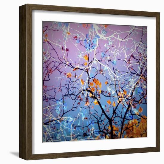 Composing of Coloured Branches-Alaya Gadeh-Framed Photographic Print