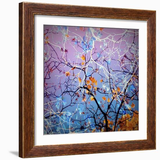 Composing of Coloured Branches-Alaya Gadeh-Framed Photographic Print