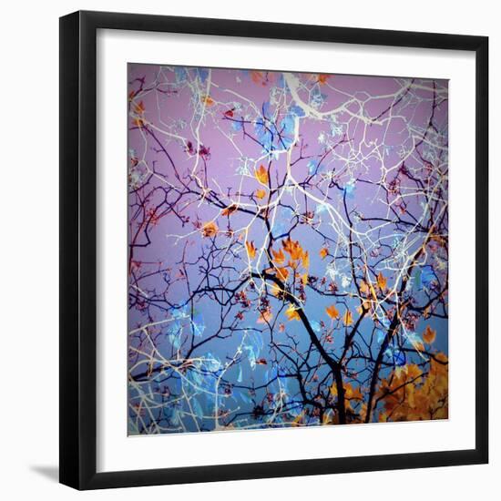 Composing of Coloured Branches-Alaya Gadeh-Framed Photographic Print