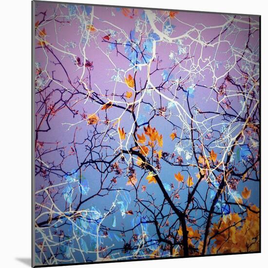 Composing of Coloured Branches-Alaya Gadeh-Mounted Photographic Print