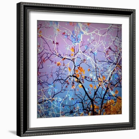 Composing of Coloured Branches-Alaya Gadeh-Framed Photographic Print