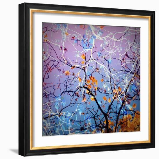 Composing of Coloured Branches-Alaya Gadeh-Framed Photographic Print