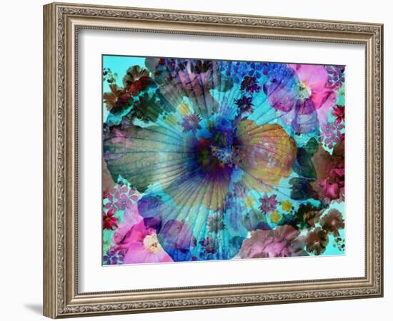 Composing of Coloured Flowers-Alaya Gadeh-Framed Photographic Print