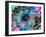 Composing of Coloured Flowers-Alaya Gadeh-Framed Photographic Print