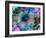 Composing of Coloured Flowers-Alaya Gadeh-Framed Photographic Print