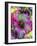 Composing of Coloured Flowers-Alaya Gadeh-Framed Photographic Print