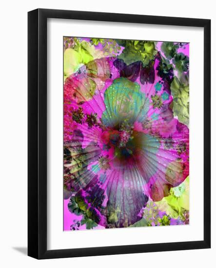 Composing of Coloured Flowers-Alaya Gadeh-Framed Photographic Print