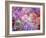 Composing of Flowers and Branches-Alaya Gadeh-Framed Photographic Print