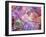 Composing of Flowers and Branches-Alaya Gadeh-Framed Photographic Print