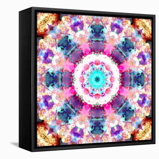 Composing of Flowers in a Mandala Ornament-Alaya Gadeh-Framed Premier Image Canvas