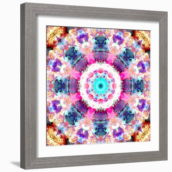 Composing of Flowers in a Mandala Ornament-Alaya Gadeh-Framed Photographic Print