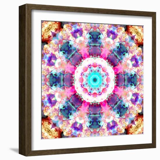 Composing of Flowers in a Mandala Ornament-Alaya Gadeh-Framed Photographic Print