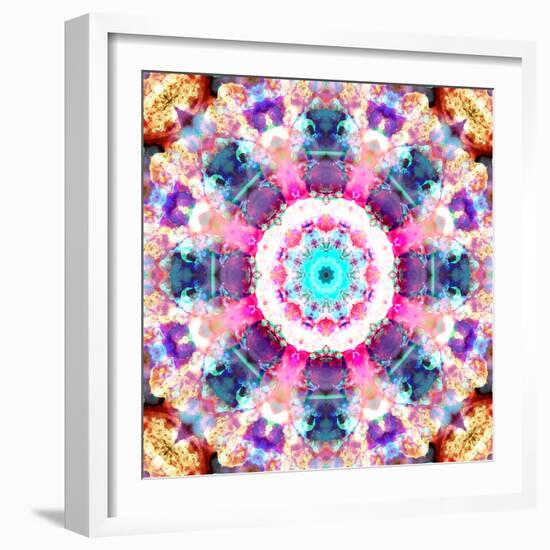 Composing of Flowers in a Mandala Ornament-Alaya Gadeh-Framed Photographic Print