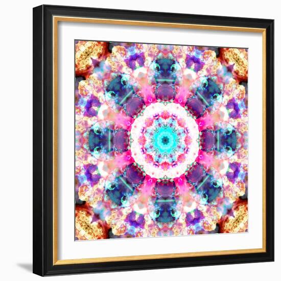 Composing of Flowers in a Mandala Ornament-Alaya Gadeh-Framed Photographic Print