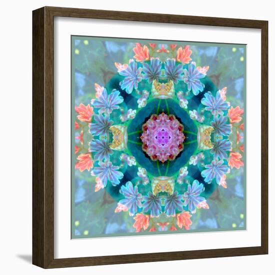 Composing of Flowers in a Mandala Ornament-Alaya Gadeh-Framed Photographic Print