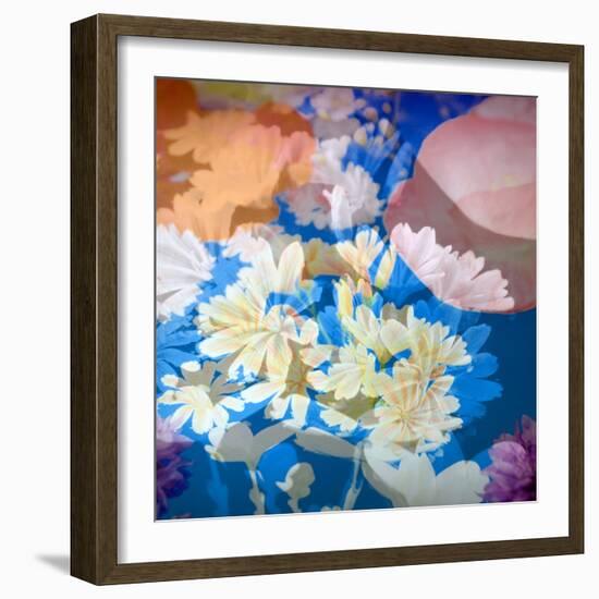 Composing of Flowers-Alaya Gadeh-Framed Photographic Print
