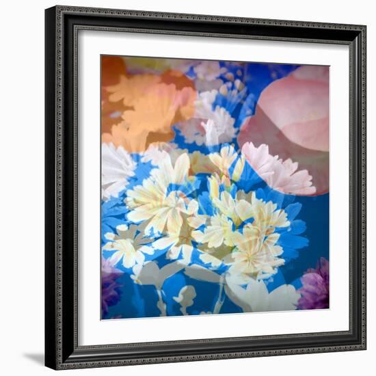 Composing of Flowers-Alaya Gadeh-Framed Photographic Print