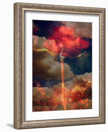 Composing, Red Rose Towards Cloudy Sky-Alaya Gadeh-Framed Photographic Print