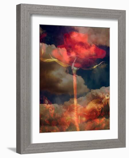 Composing, Red Rose Towards Cloudy Sky-Alaya Gadeh-Framed Photographic Print