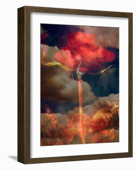 Composing, Red Rose Towards Cloudy Sky-Alaya Gadeh-Framed Photographic Print