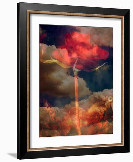Composing, Red Rose Towards Cloudy Sky-Alaya Gadeh-Framed Photographic Print