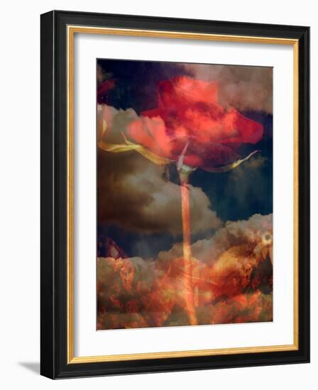 Composing, Red Rose Towards Cloudy Sky-Alaya Gadeh-Framed Photographic Print