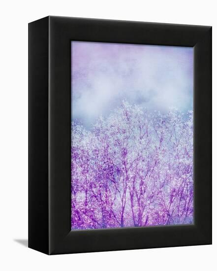 Composing, Trees, Layered with Texture and Paint in Violet and Blue-Alaya Gadeh-Framed Premier Image Canvas