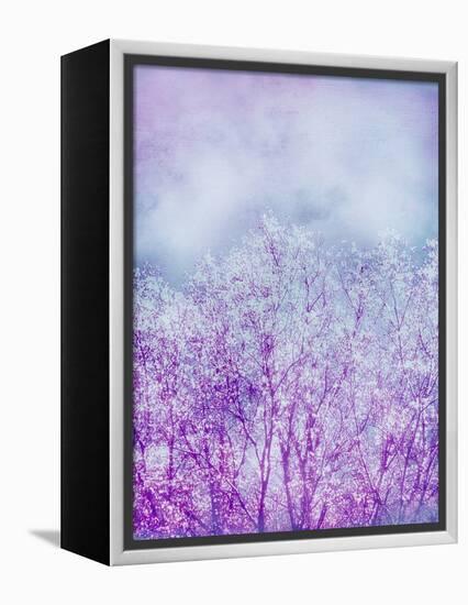 Composing, Trees, Layered with Texture and Paint in Violet and Blue-Alaya Gadeh-Framed Premier Image Canvas