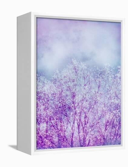 Composing, Trees, Layered with Texture and Paint in Violet and Blue-Alaya Gadeh-Framed Premier Image Canvas