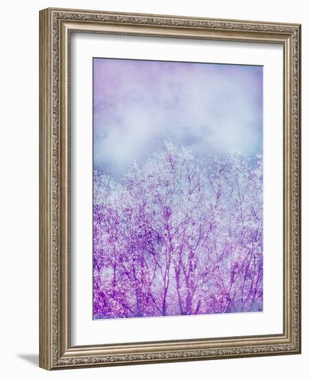 Composing, Trees, Layered with Texture and Paint in Violet and Blue-Alaya Gadeh-Framed Photographic Print