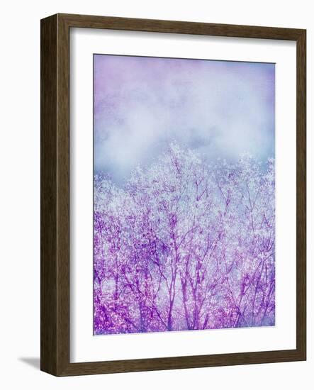 Composing, Trees, Layered with Texture and Paint in Violet and Blue-Alaya Gadeh-Framed Photographic Print