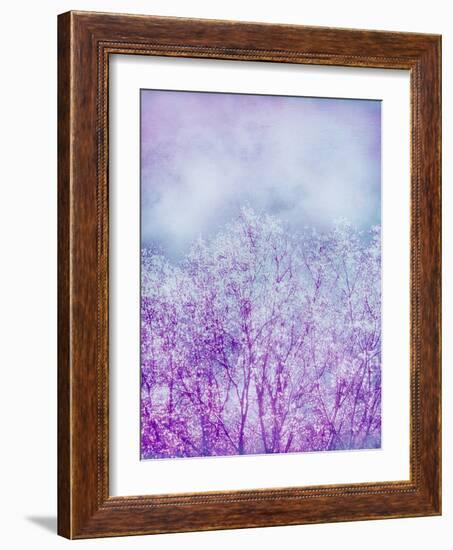 Composing, Trees, Layered with Texture and Paint in Violet and Blue-Alaya Gadeh-Framed Photographic Print