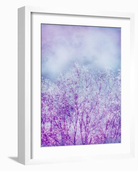 Composing, Trees, Layered with Texture and Paint in Violet and Blue-Alaya Gadeh-Framed Photographic Print
