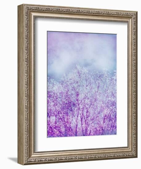 Composing, Trees, Layered with Texture and Paint in Violet and Blue-Alaya Gadeh-Framed Photographic Print